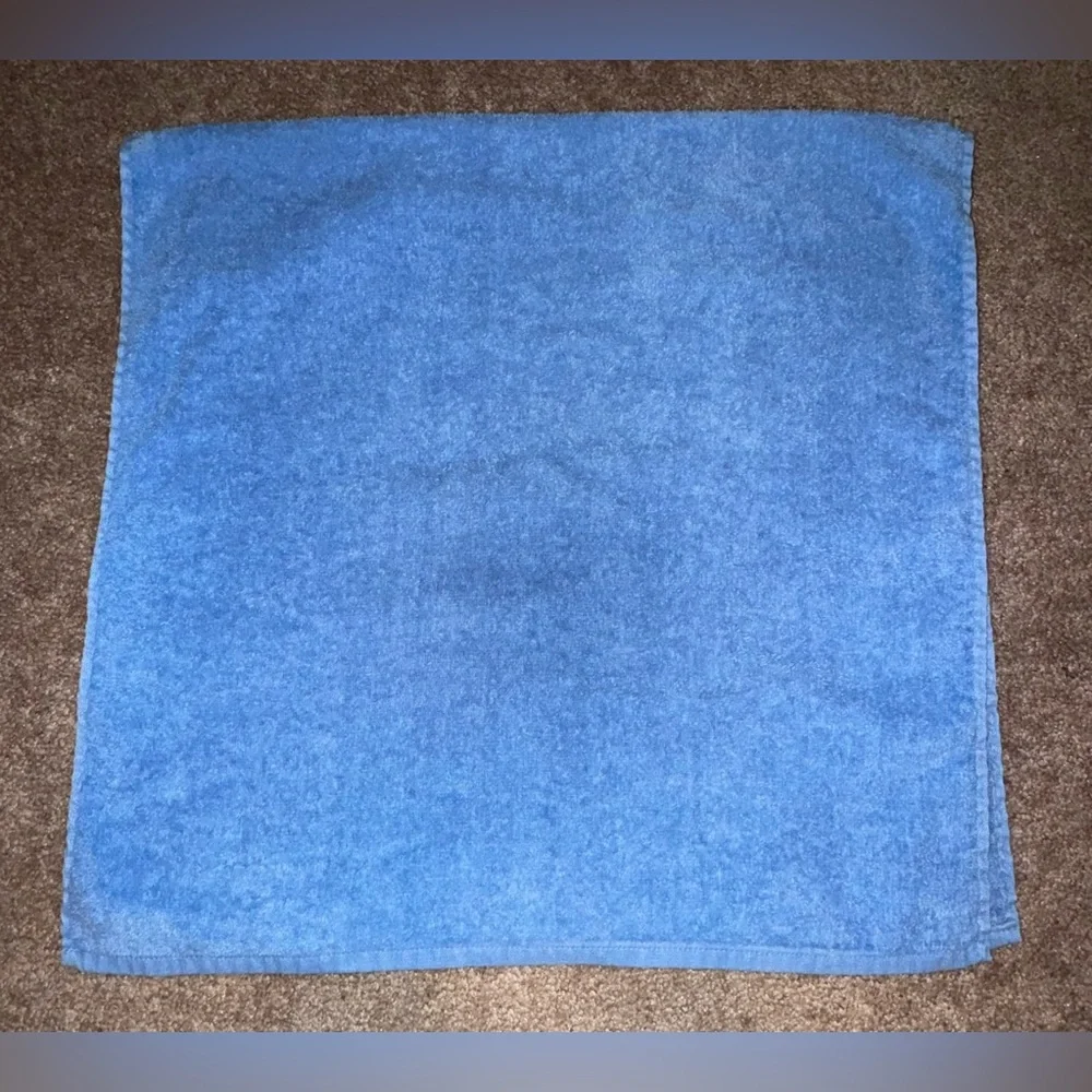 Vintage Butterfly Towel✨